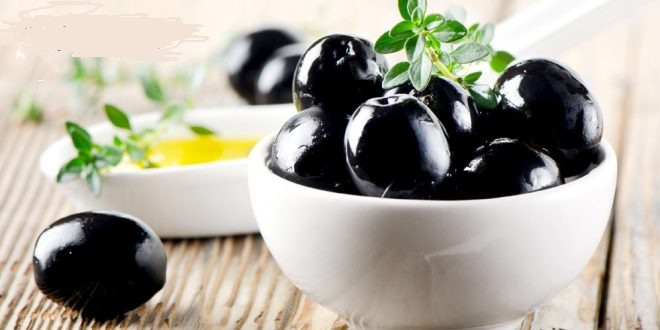 دراسة جدوى مبدئية لـ مشروع إنتاج الزيتون الأسود